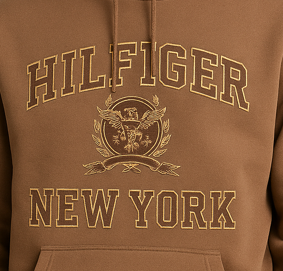 Embroidery Tommy Hilfiger Hoodie