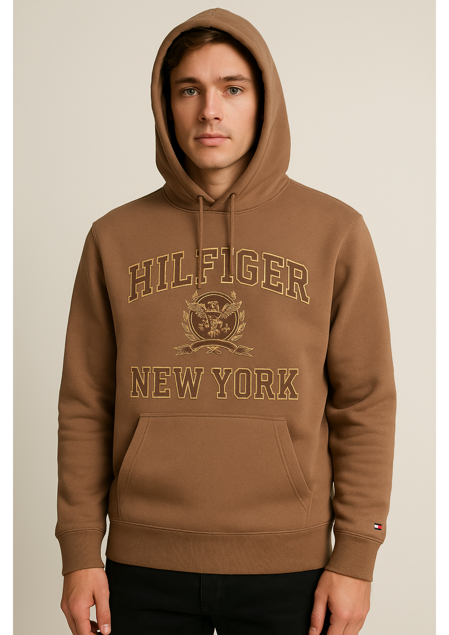 Embroidery Tommy Hilfiger Hoodie