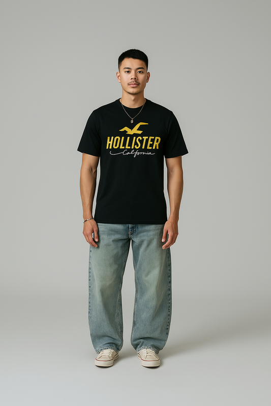 Hollister Crew neckline short sleeves